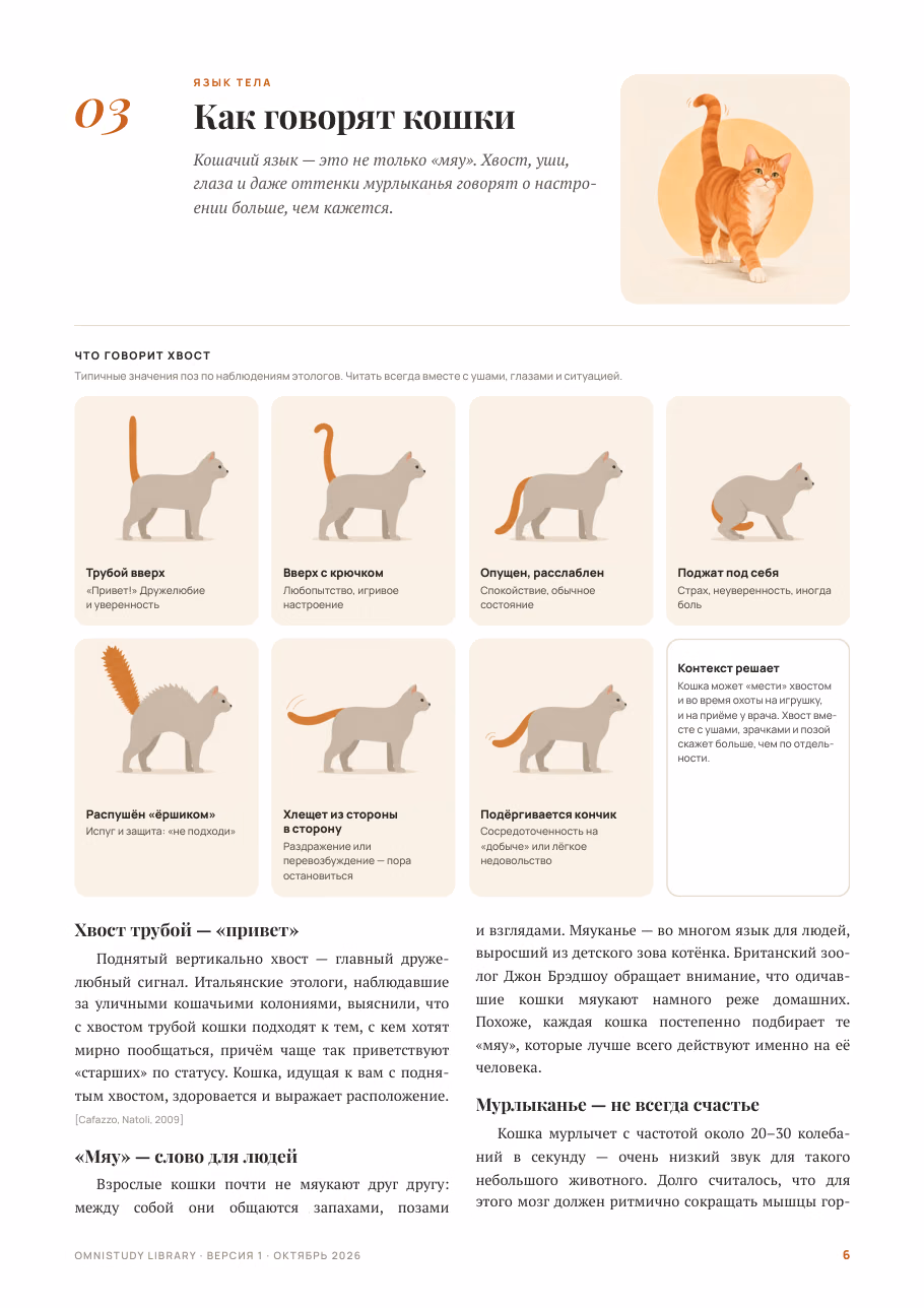 Кошка, которая гуляет не сама по себе — страница 3