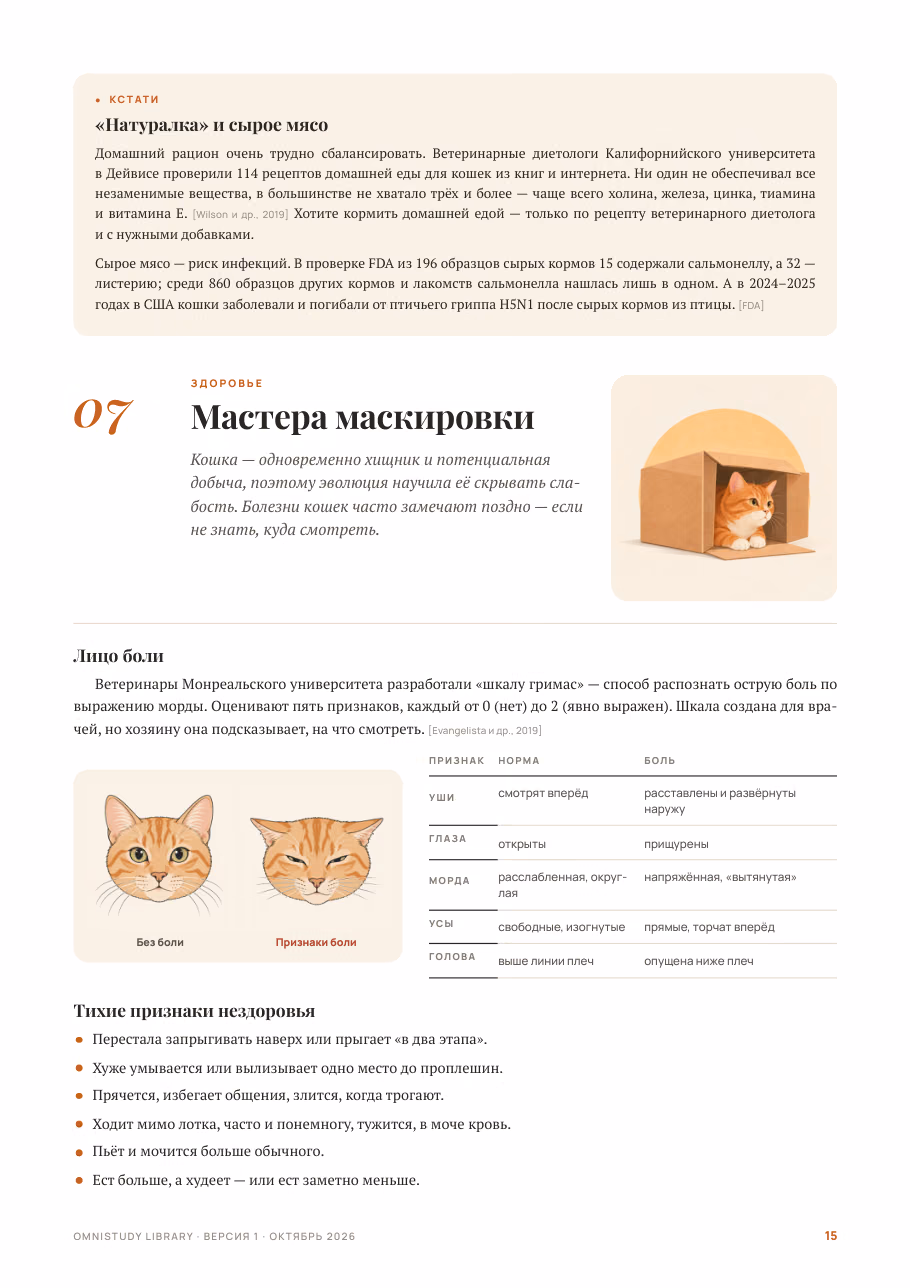 Кошка, которая гуляет не сама по себе — страница 5