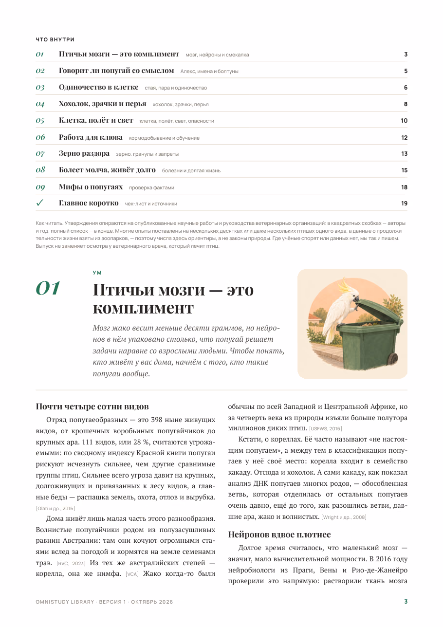 Попка не дурак — страница 2