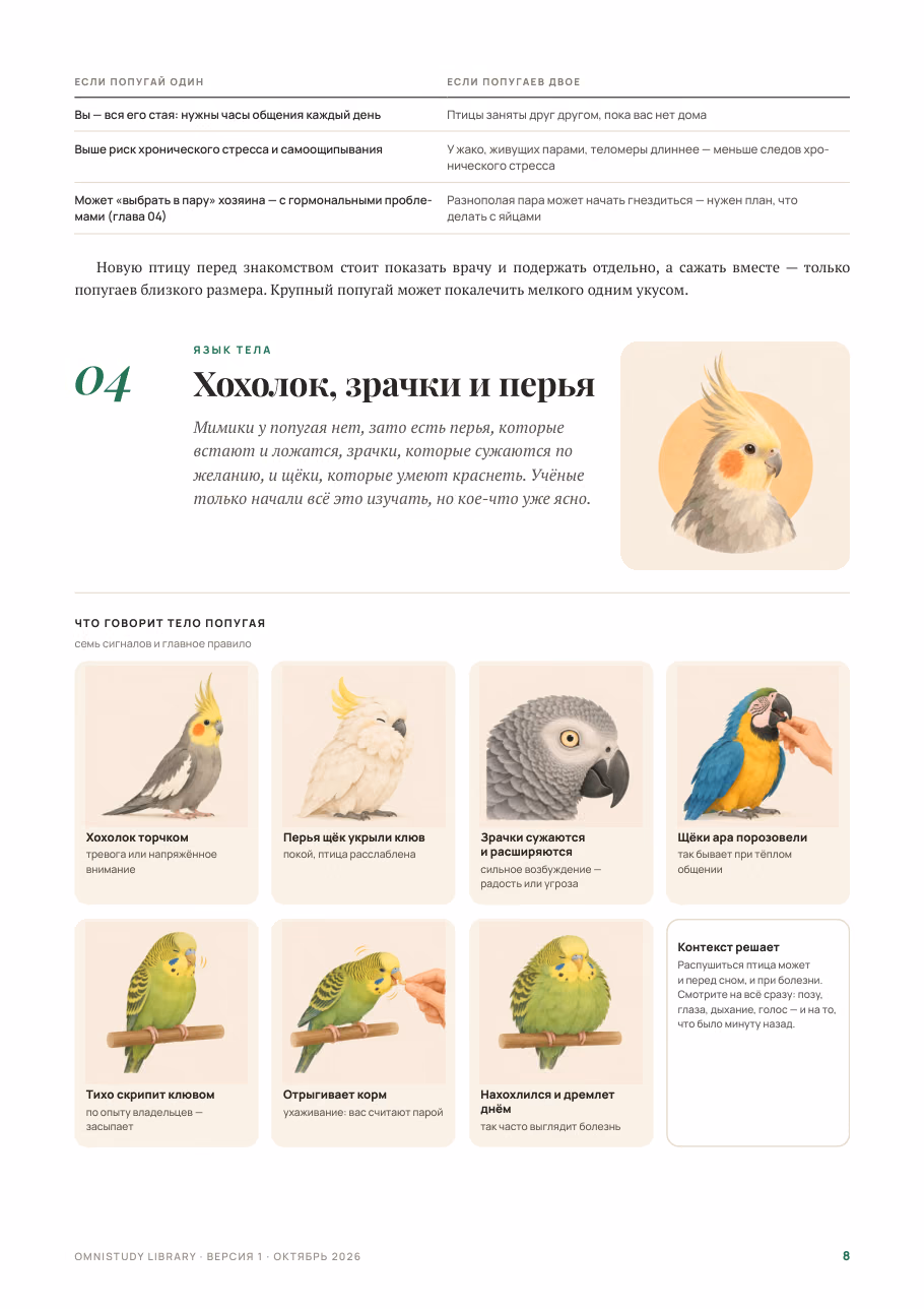 Попка не дурак — страница 3