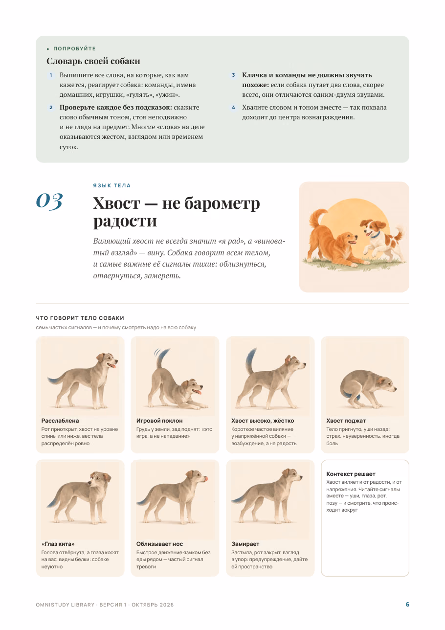 Собачье сердце нараспашку — страница 3